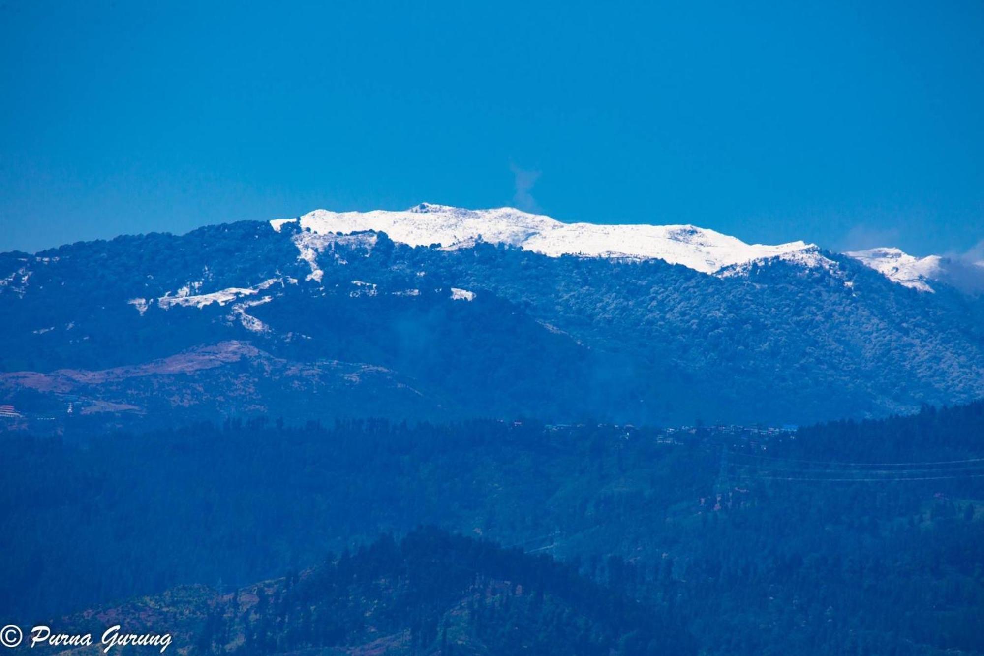 Dreamhome Stay Kurseong Eksteriør bilde
