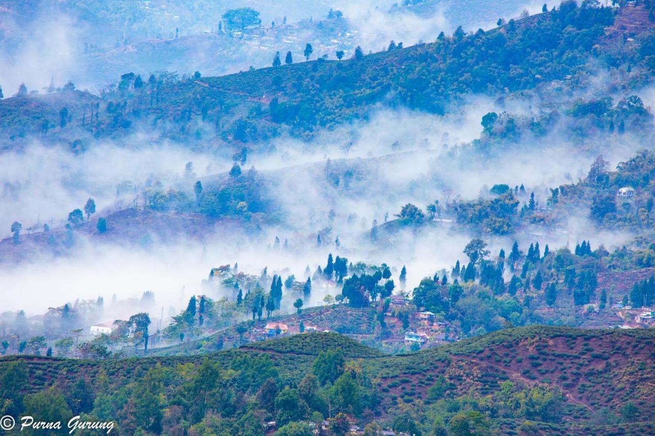 Dreamhome Stay Kurseong Eksteriør bilde